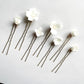 Isadore | Hairpin Set