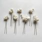 Eloise | Hairpin Set