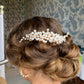 OLIVIA  | Comb